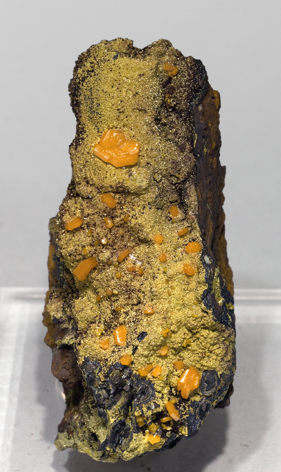 specimens/s_imagesV3/Mimetite-NE11V3f.jpg