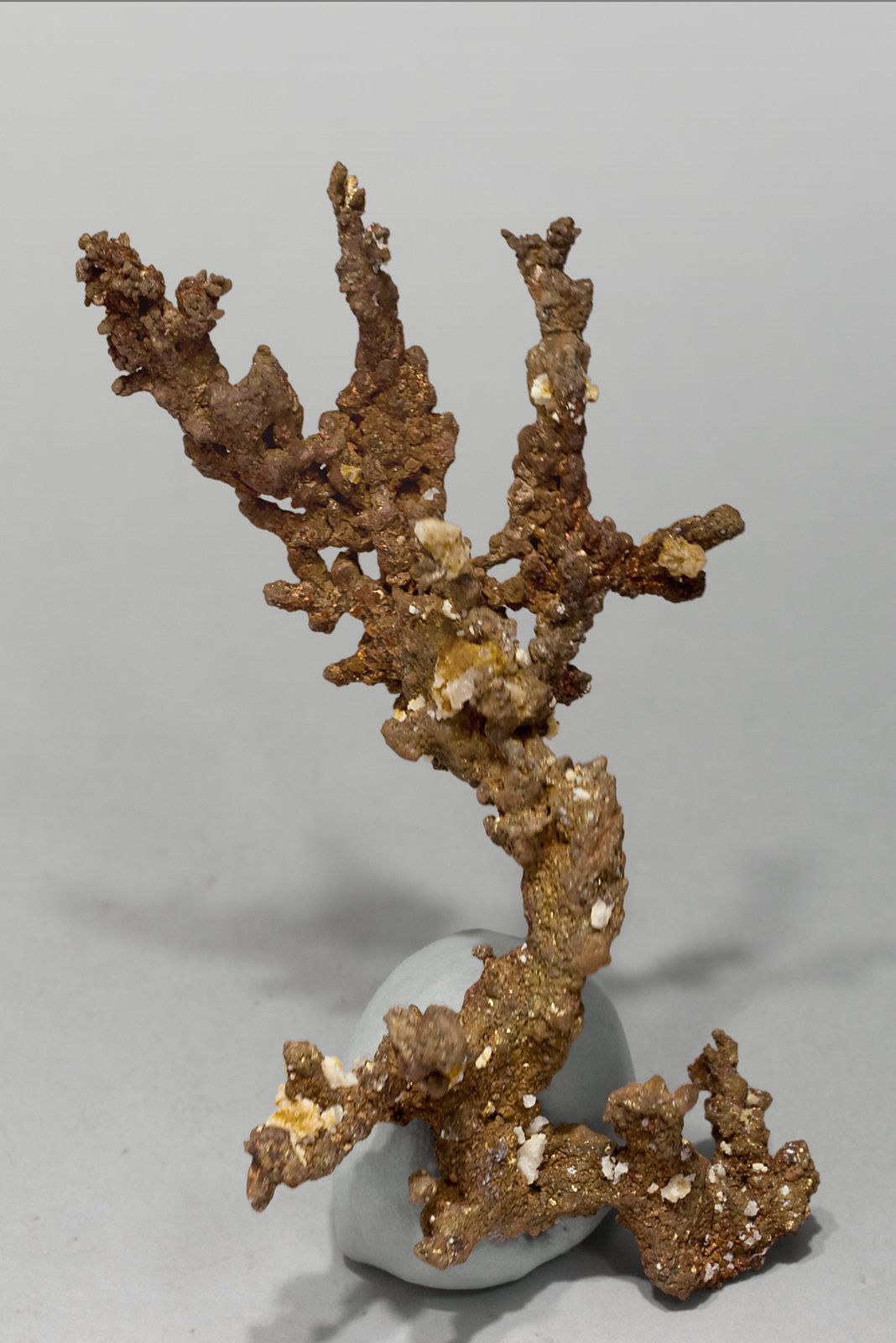 specimens/s_imagesV4/Copper-NB14V4r.jpg