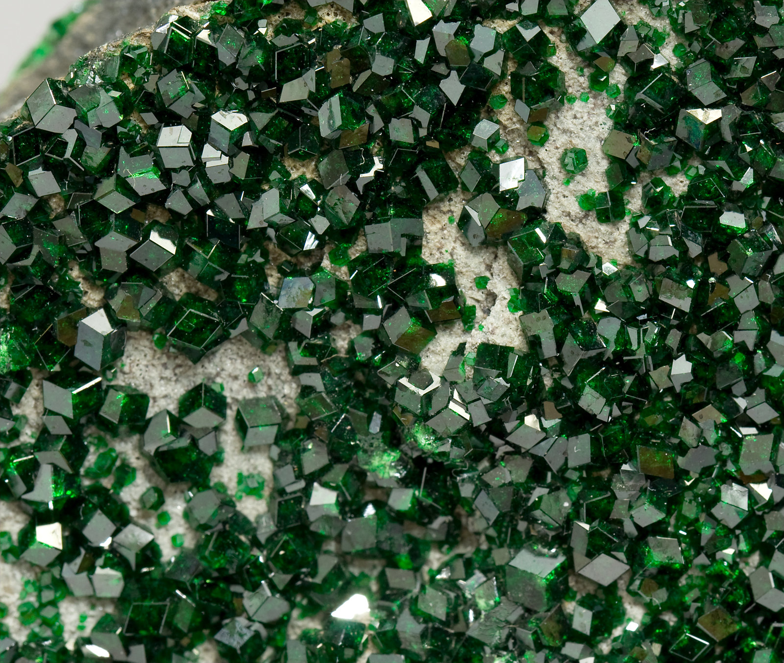 specimens/s_imagesV4/Uvarovite-TD49V4d.jpg