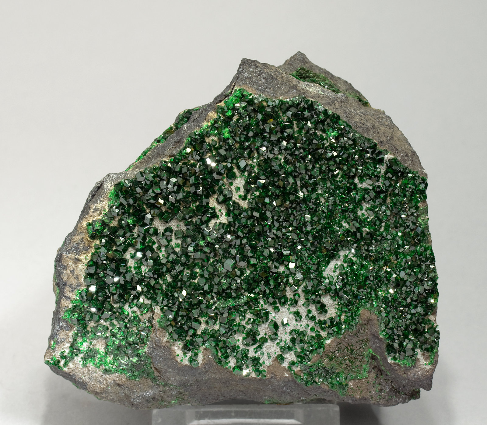 specimens/s_imagesV4/Uvarovite-TD49V4f.jpg