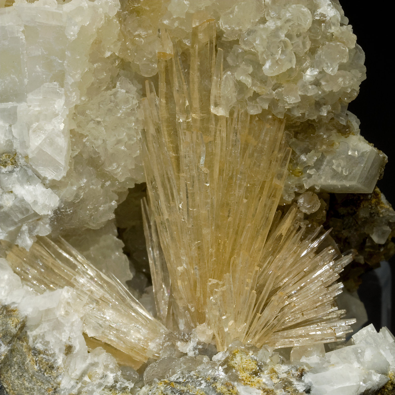 specimens/s_imagesV5/Aragonite-NE76V5d.jpg