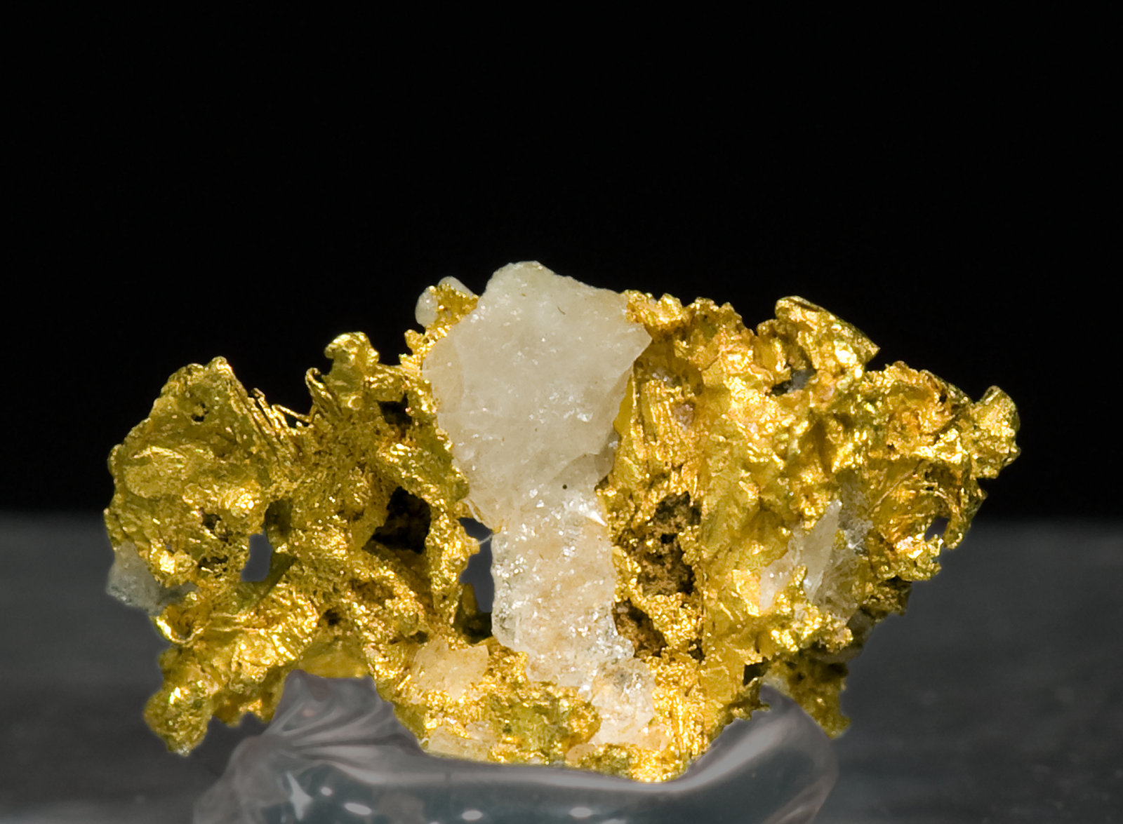 specimens/s_imagesV5/Gold-NL16V5r.jpg