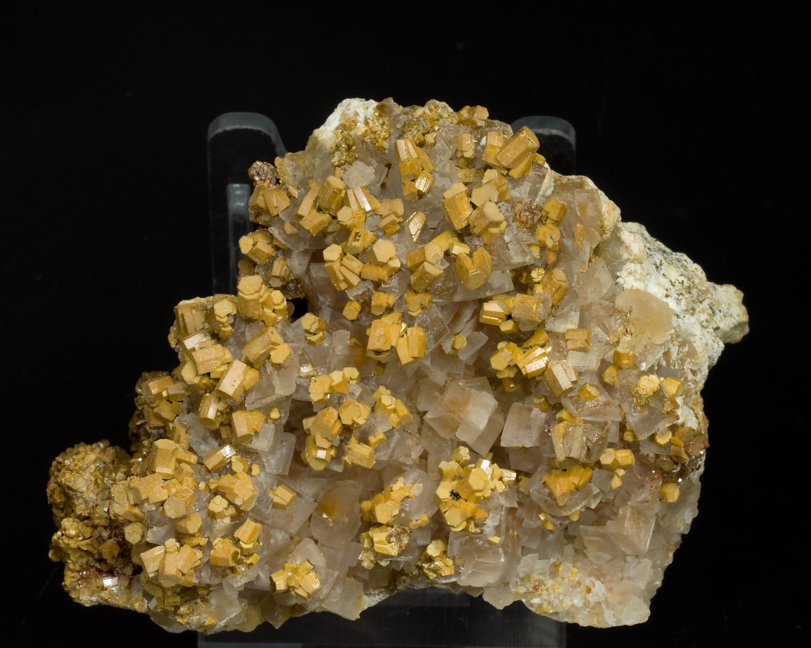 specimens/s_imagesV5/Vanadinite-RJ14V5f.jpg