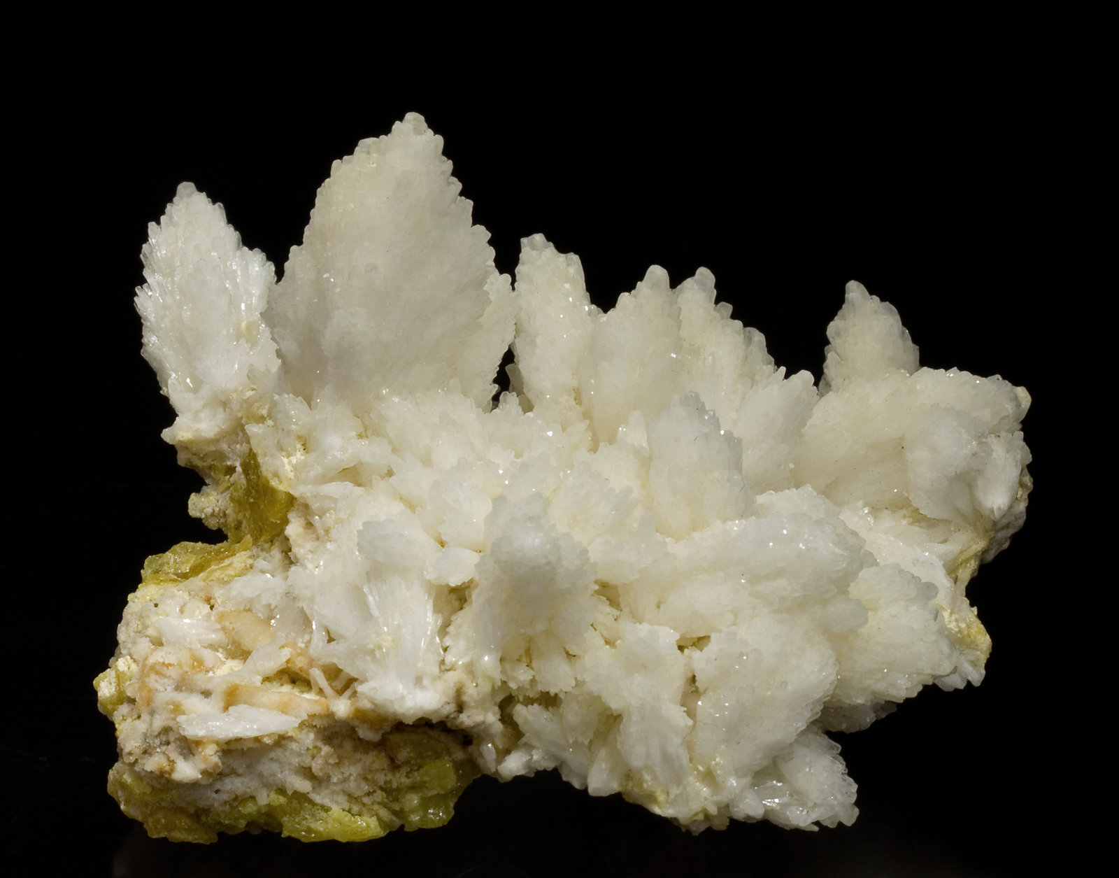 specimens/s_imagesV7/Aragonite-ME10V7f.jpg