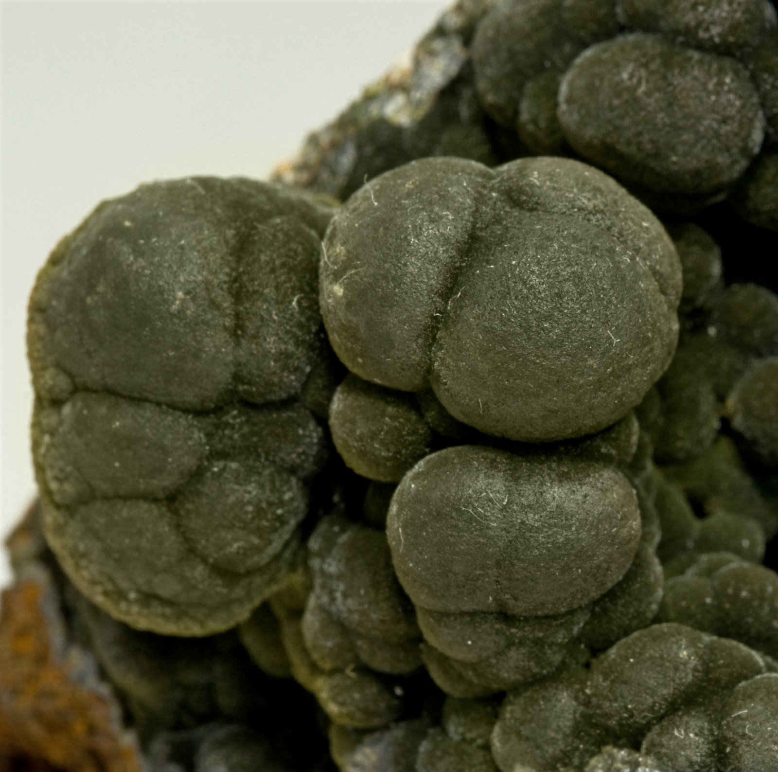 specimens/s_imagesV7/Mottramite-TP66V7d.jpg