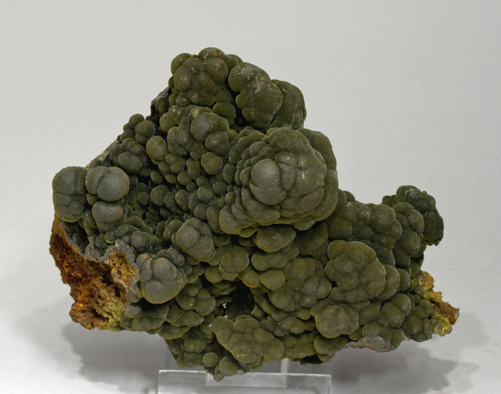 specimens/s_imagesV7/Mottramite-TP66V7f.jpg