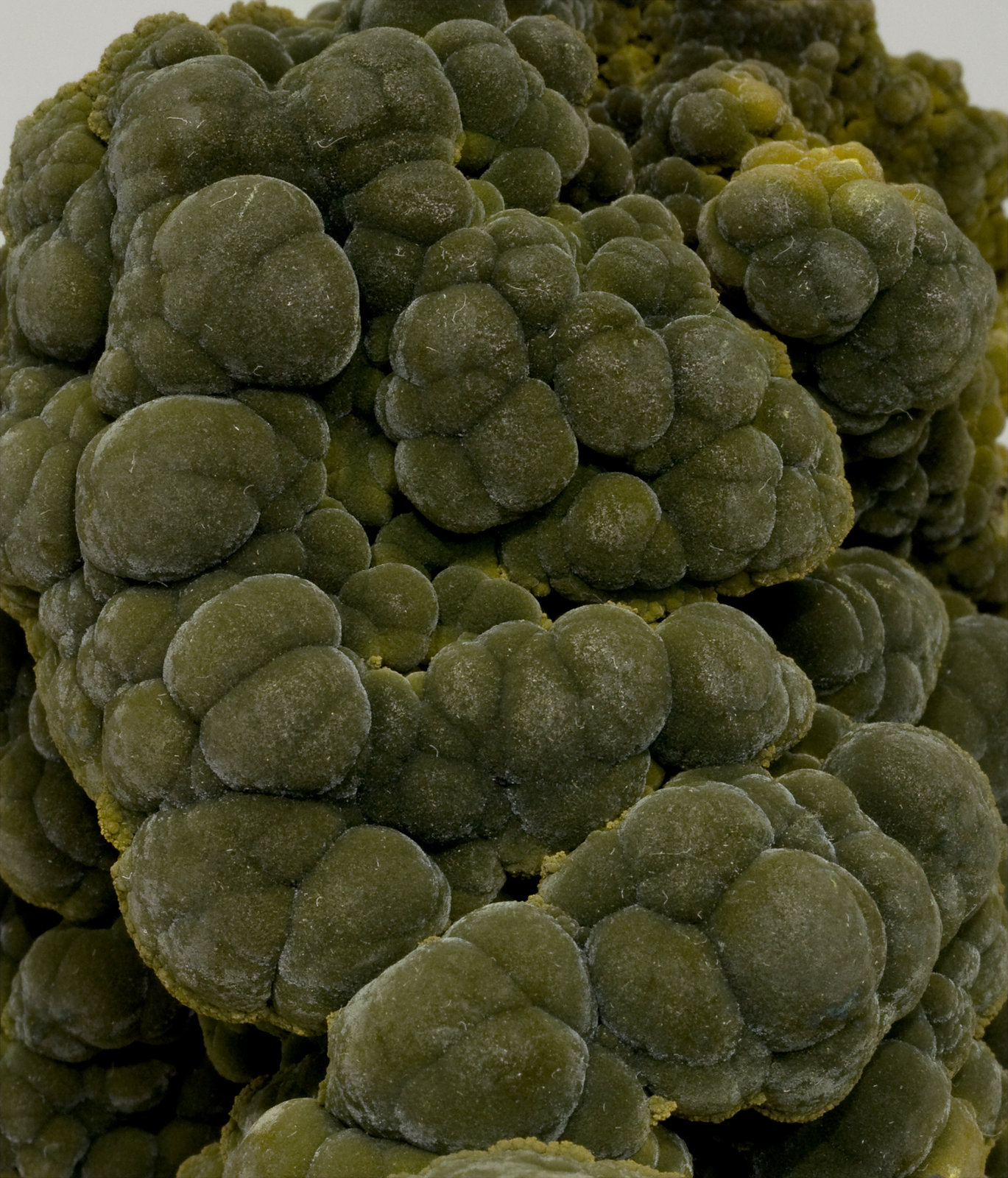 specimens/s_imagesV7/Mottramite-TX28V7d.jpg