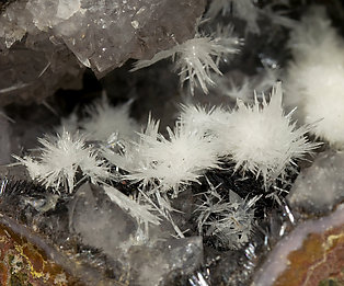 Aragonite and Goethite on Quartz. 