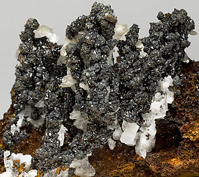 Descloizite with Calcite. 