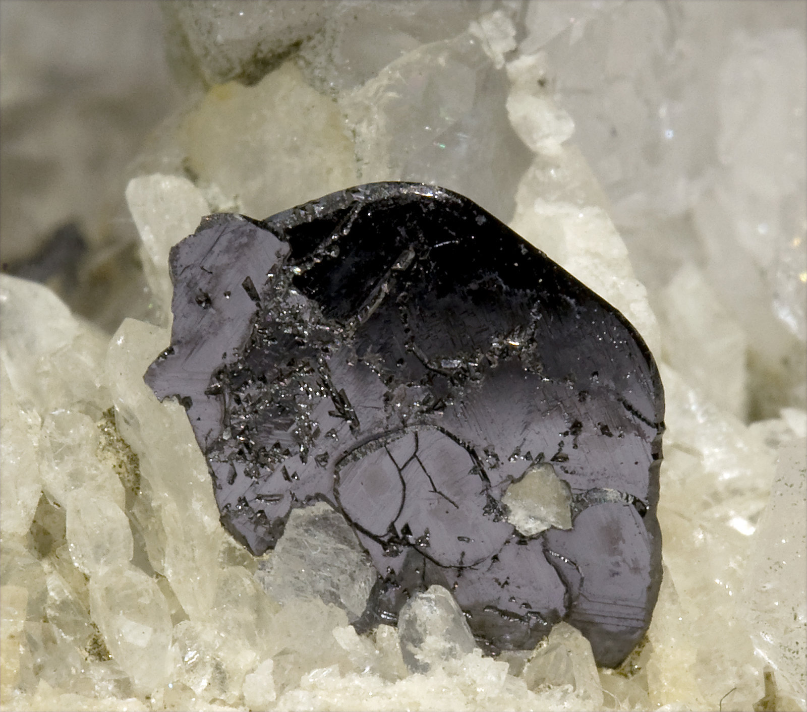 specimens/s_imagesV9/Ilmenite-EB13V9d.jpg