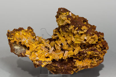 Wulfenite. 