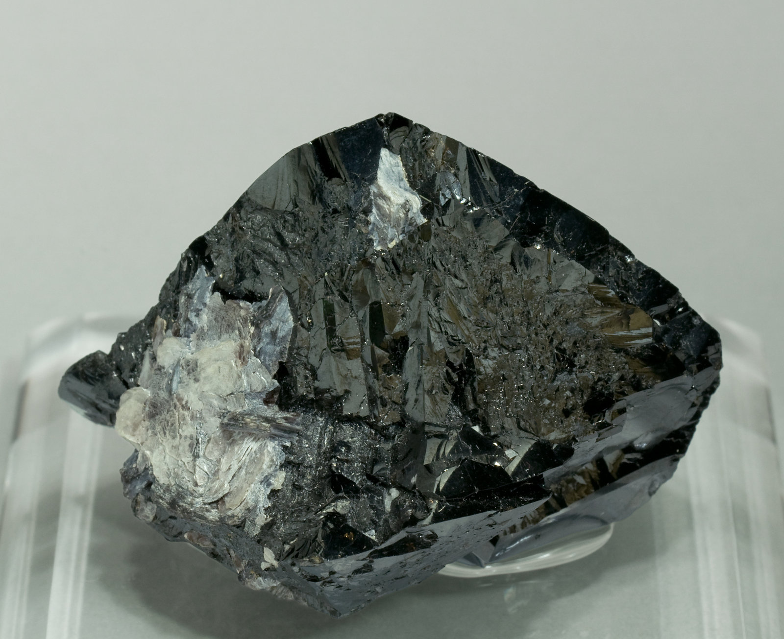 specimens/s_imagesW0/Cassiterite-JK48W0f.jpg