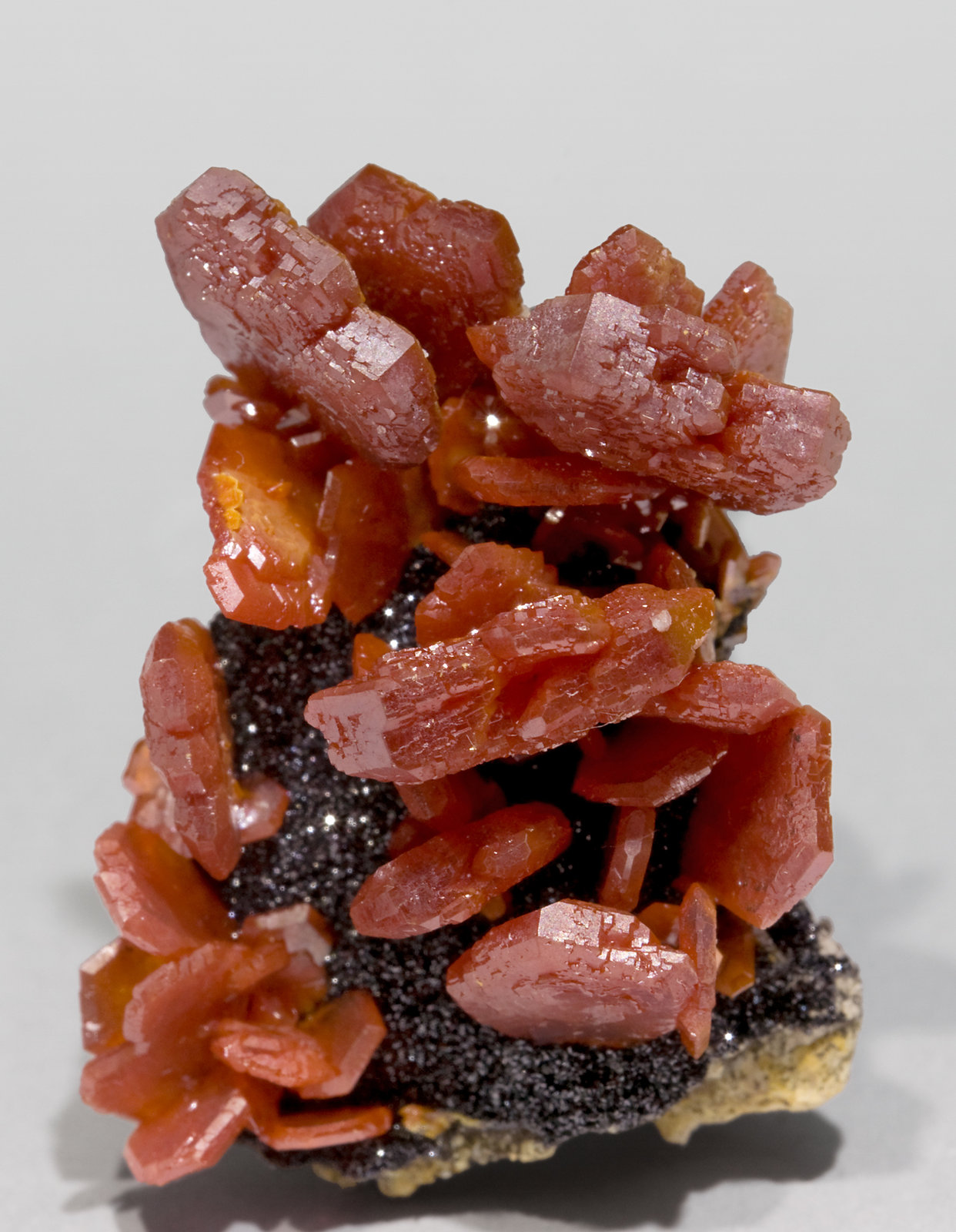 specimens/s_imagesW2/Vanadinite-EA11W2f.jpg