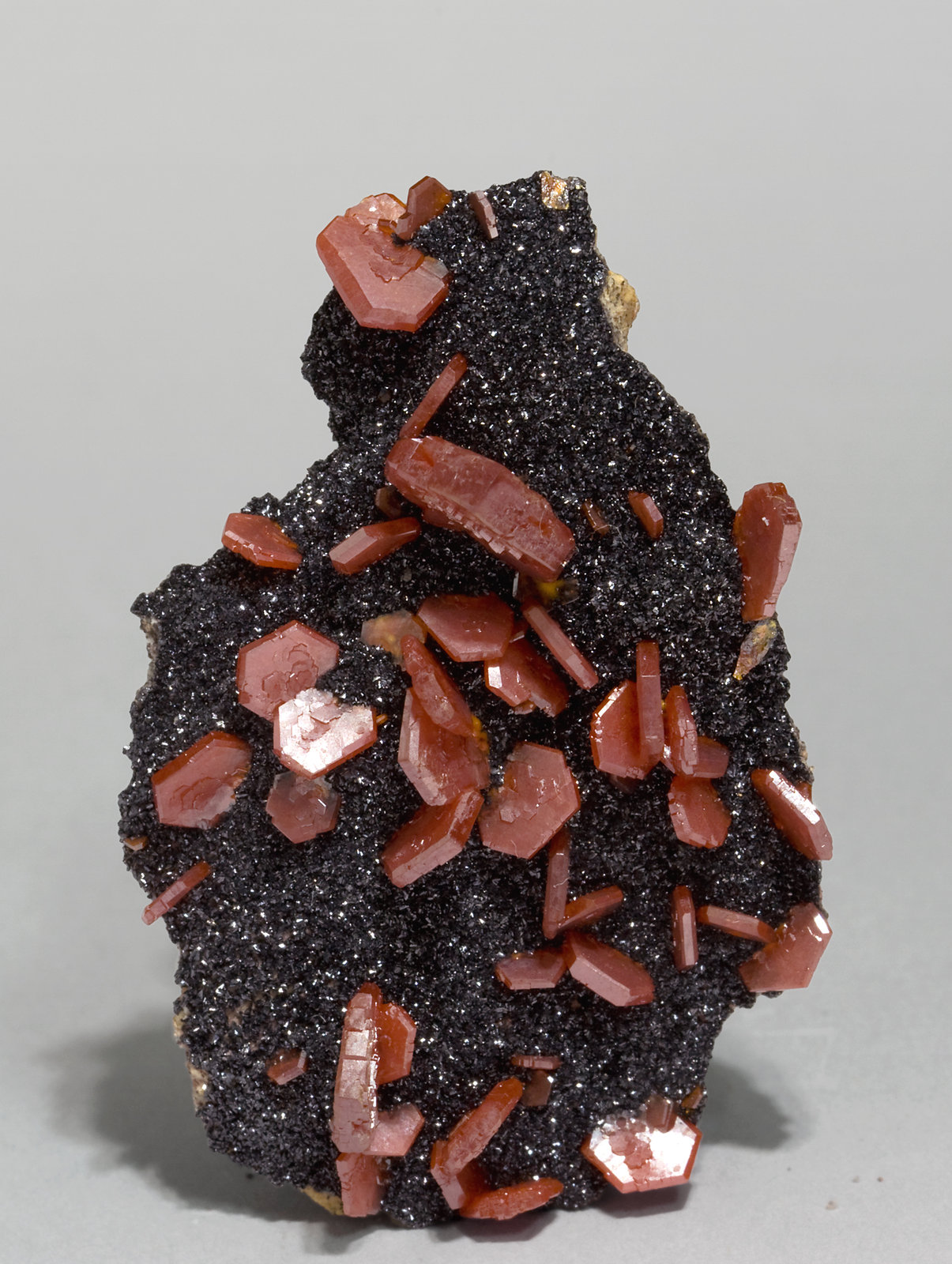 specimens/s_imagesW2/Vanadinite-EB11W2f.jpg