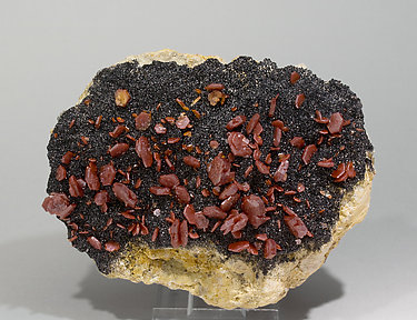 Vanadinite with Mottramite.