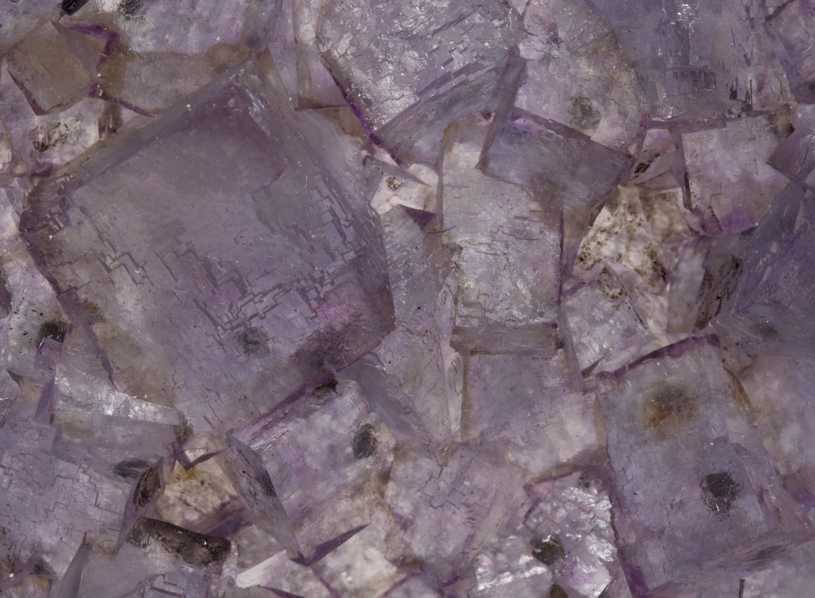 specimens/s_imagesW3/Fluorite-JA28W3d.jpg