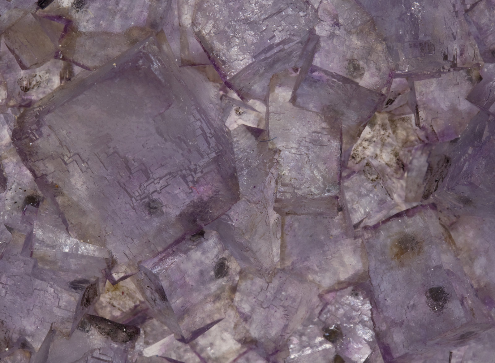 specimens/s_imagesW3/Fluorite-JA28W3d.jpg