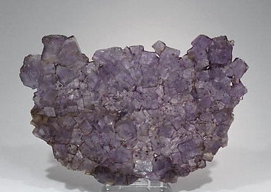 Fluorite with Chalcopyrite. 