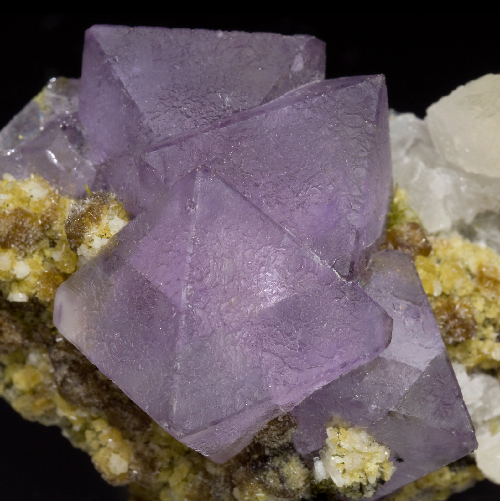 specimens/s_imagesW3/Fluorite-JC99W3d.jpg