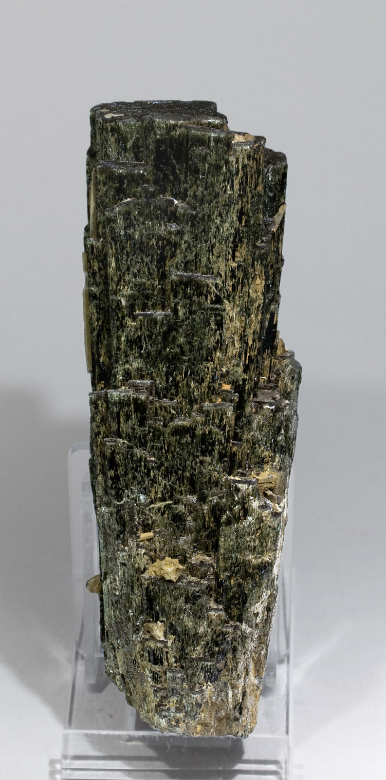 specimens/s_imagesW5/Hedenbergite-ME87W5f.jpg
