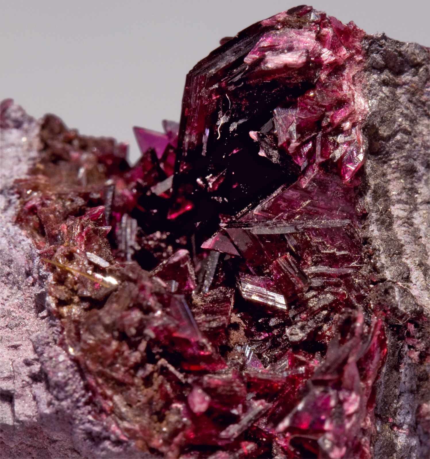 specimens/s_imagesW6/Erythrite-RV59W6d.jpg