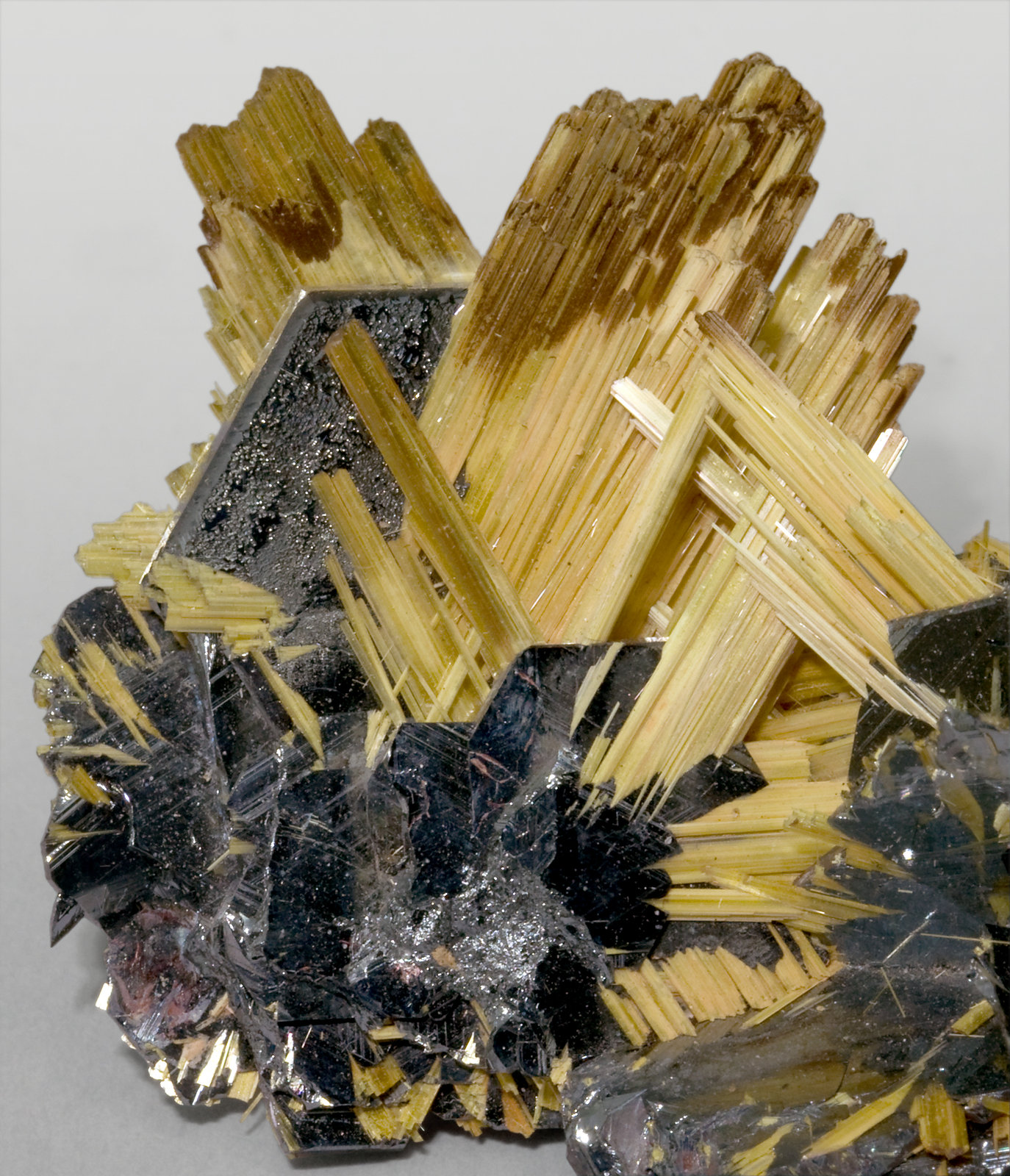 specimens/s_imagesW6/Rutile-JX48W6d.jpg