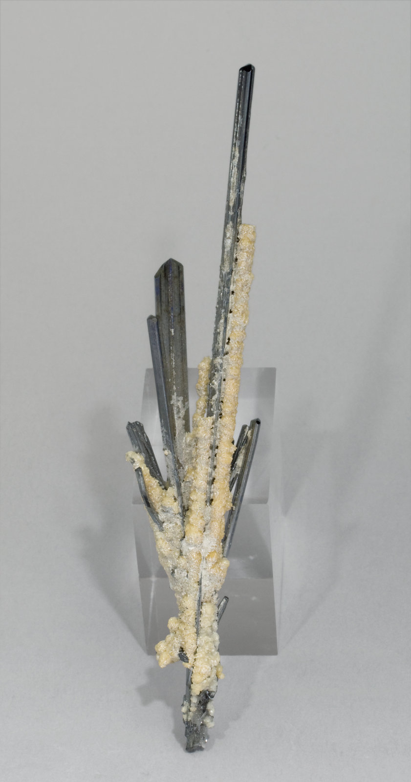 specimens/s_imagesW6/Stibnite-JD14W6r.jpg