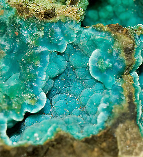 Tyrolite with Conichalcite and Azurite. 