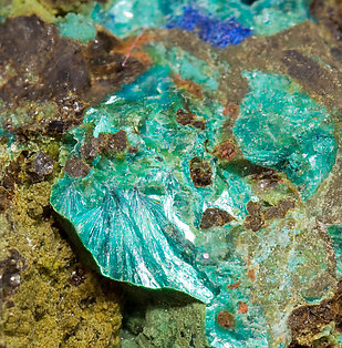 Tyrolite with Conichalcite and Azurite. 