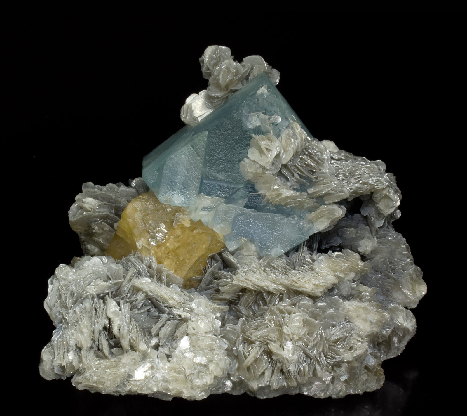 specimens/s_imagesW7/Fluorite-MX91W7f.jpg