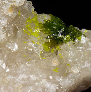 Rodalquilarite with Alunite and Quartz. 