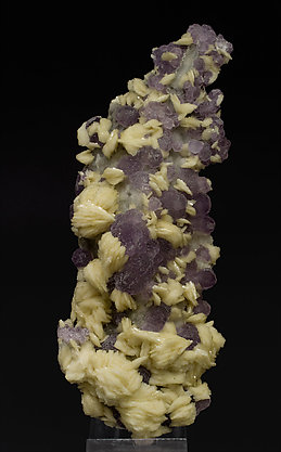 Fluorite with Baryte and Quartz.