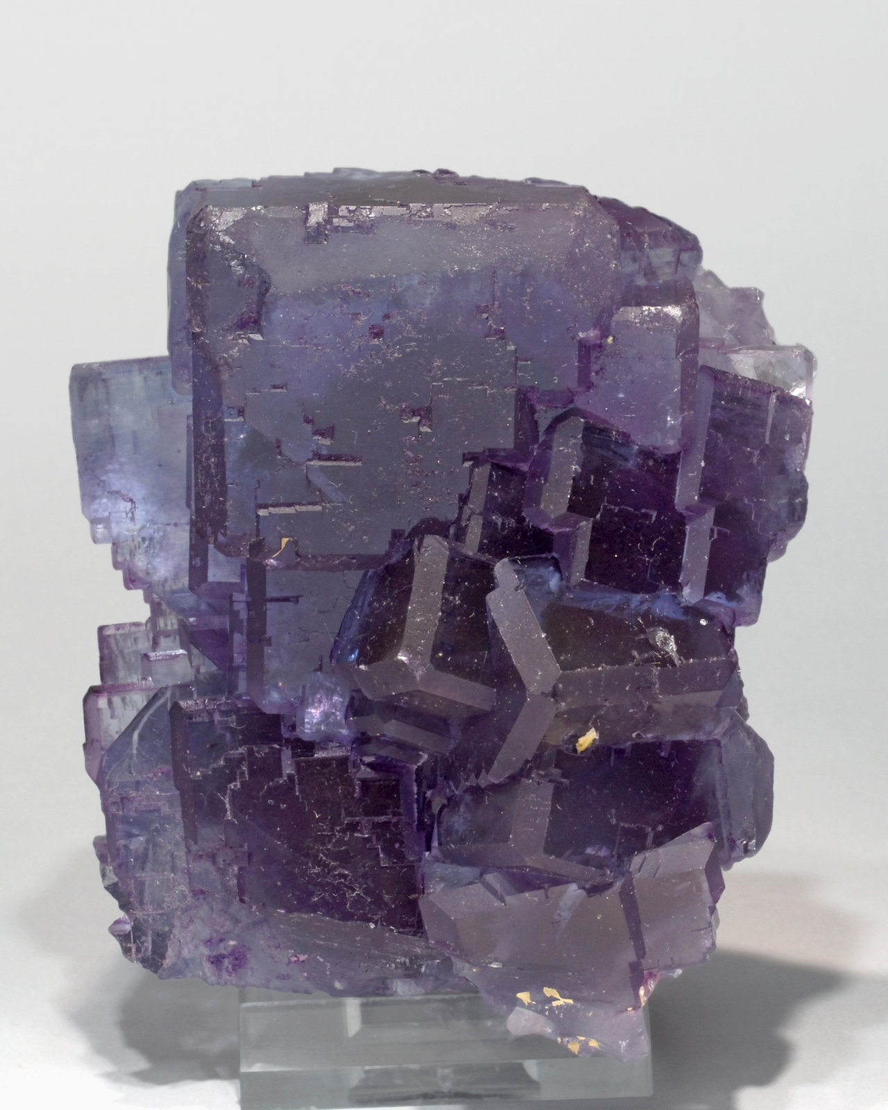 specimens/s_imagesW9/Fluorite-TF49W9f.jpg