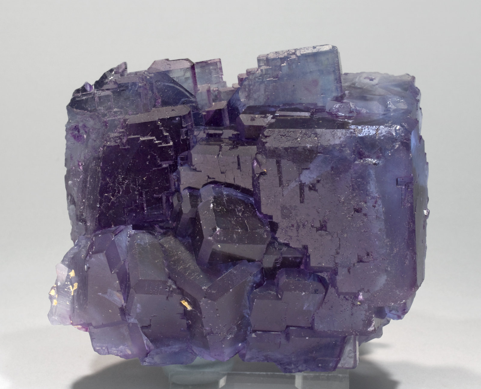 specimens/s_imagesW9/Fluorite-TF49W9s.jpg