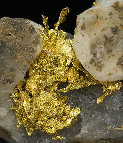 Oro nativo con Cuarzo. 