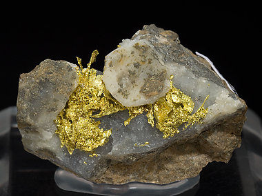 Gold with Quartz. 