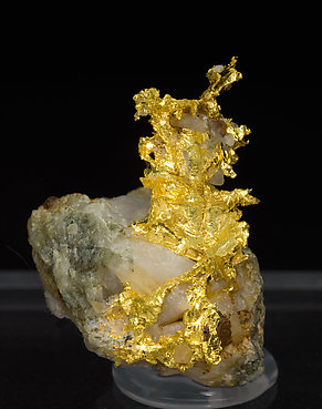 Gold with Quartz.