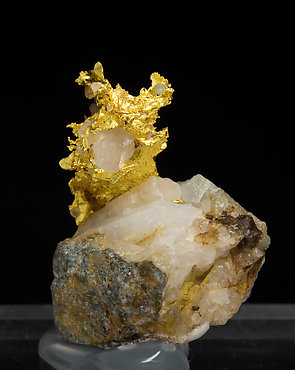 Oro nativo con Cuarzo. Vista posterior
