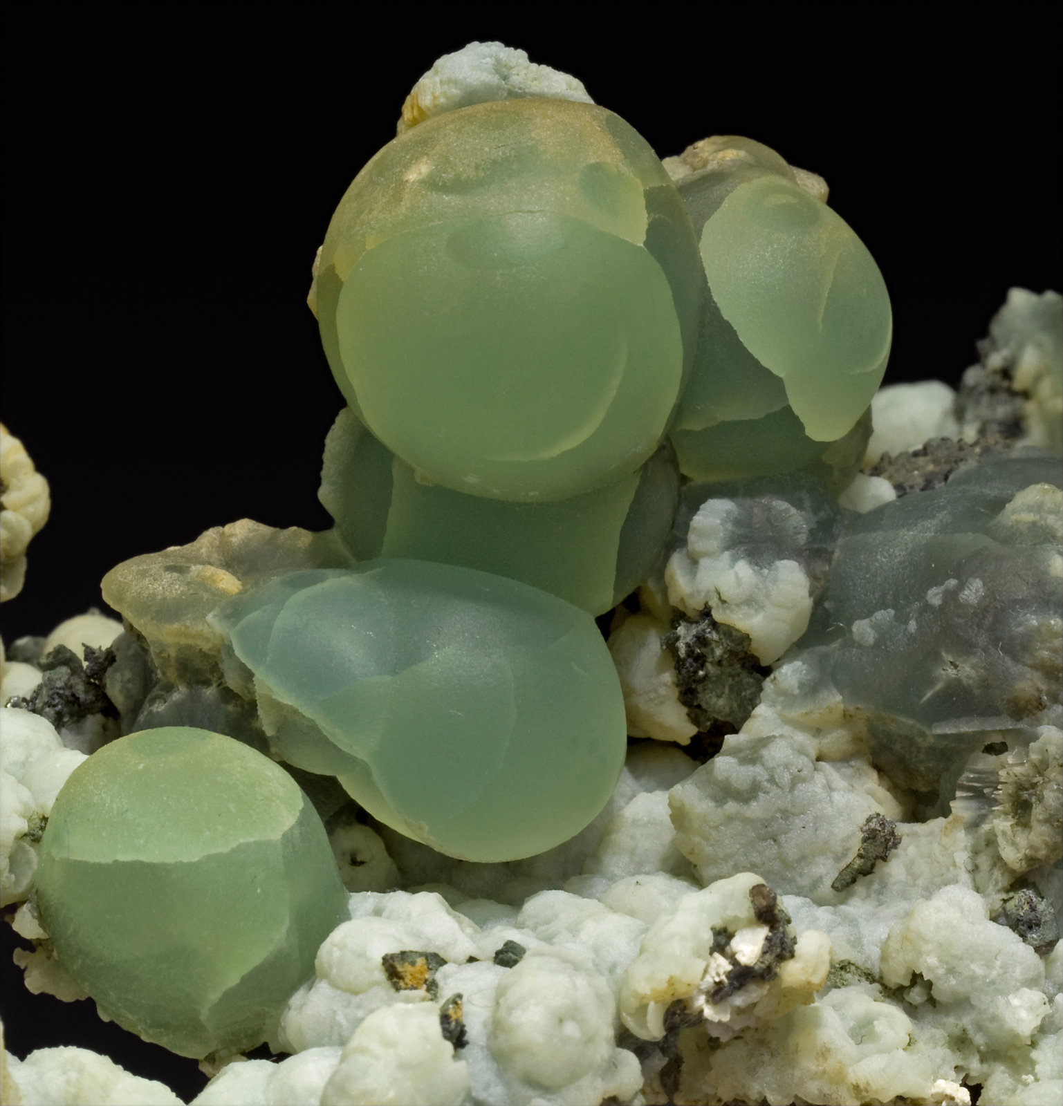 specimens/s_imagesX0/Prehnite-EB66X0d.jpg