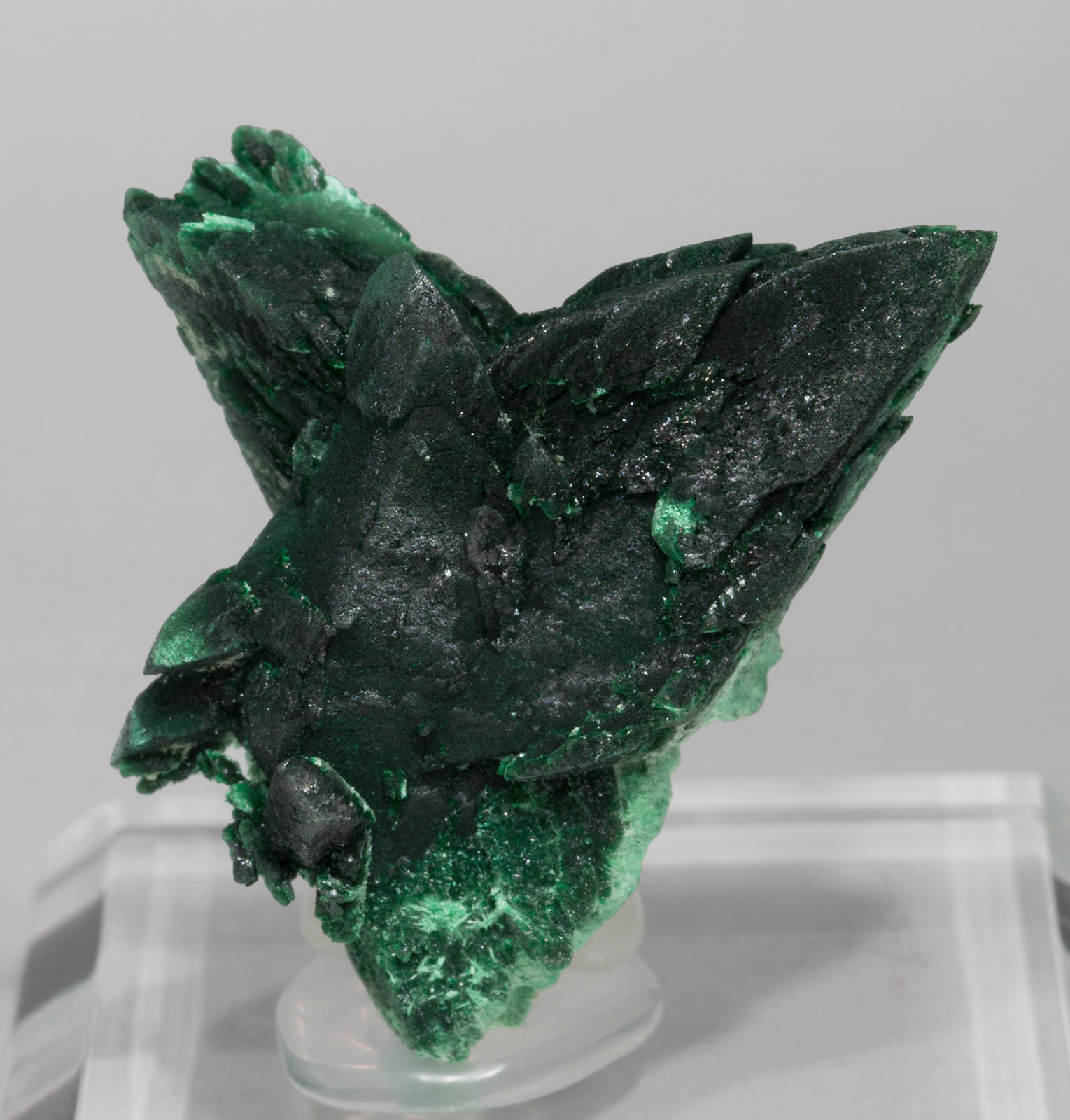 specimens/s_imagesX1/Malachite-TC56X1f.jpg