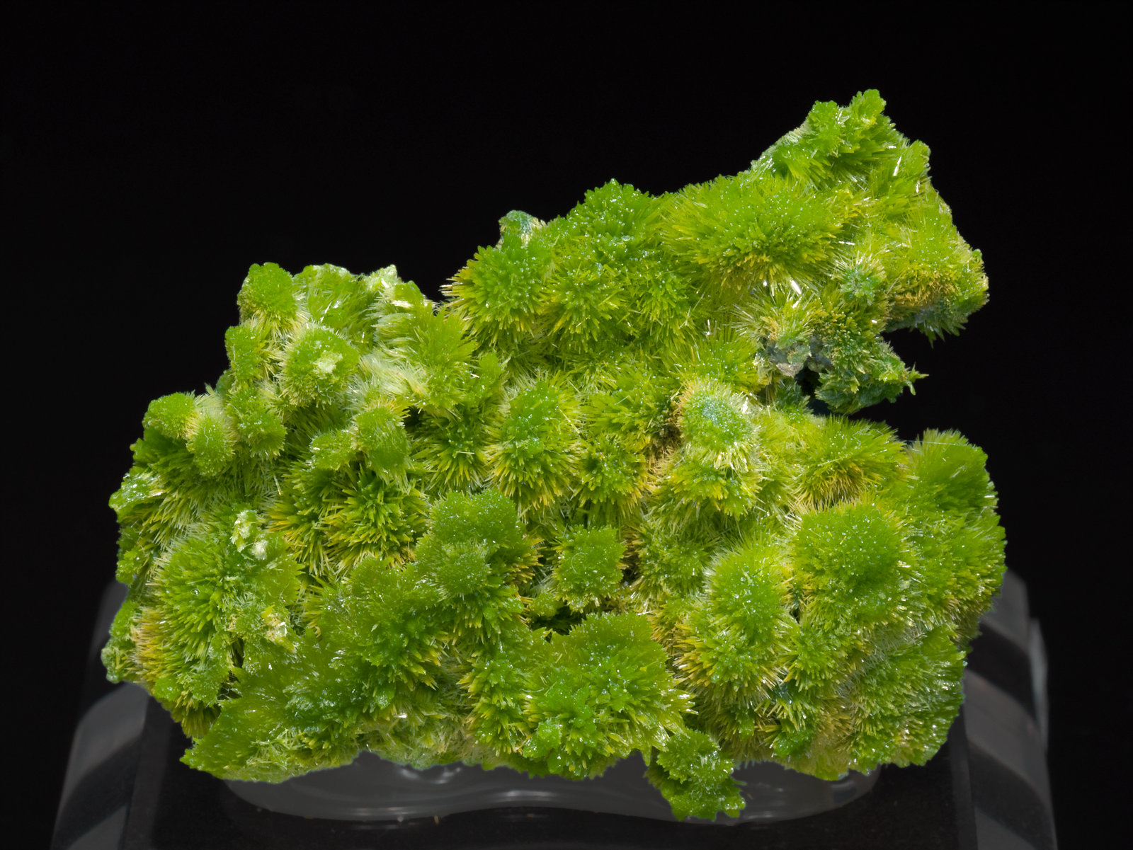 specimens/s_imagesX1/Pyromorphite-EJ14X1f.jpg