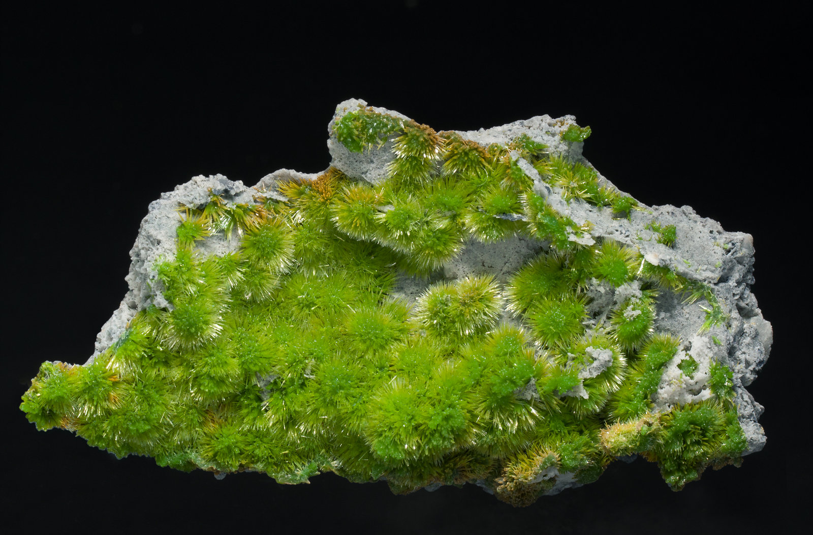 specimens/s_imagesX1/Pyromorphite-ER48X1f.jpg