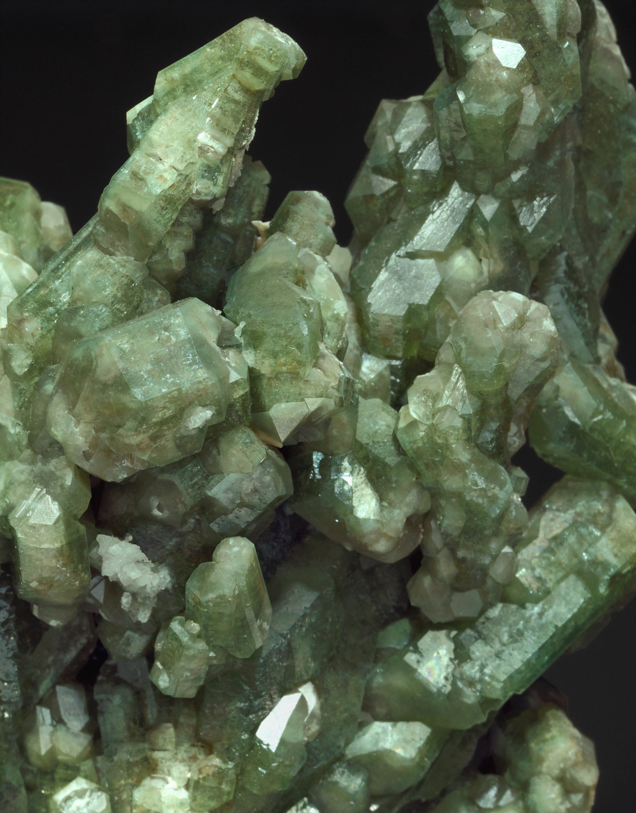 specimens/s_imagesX2/Fluorapatite-TA53X2d.jpg