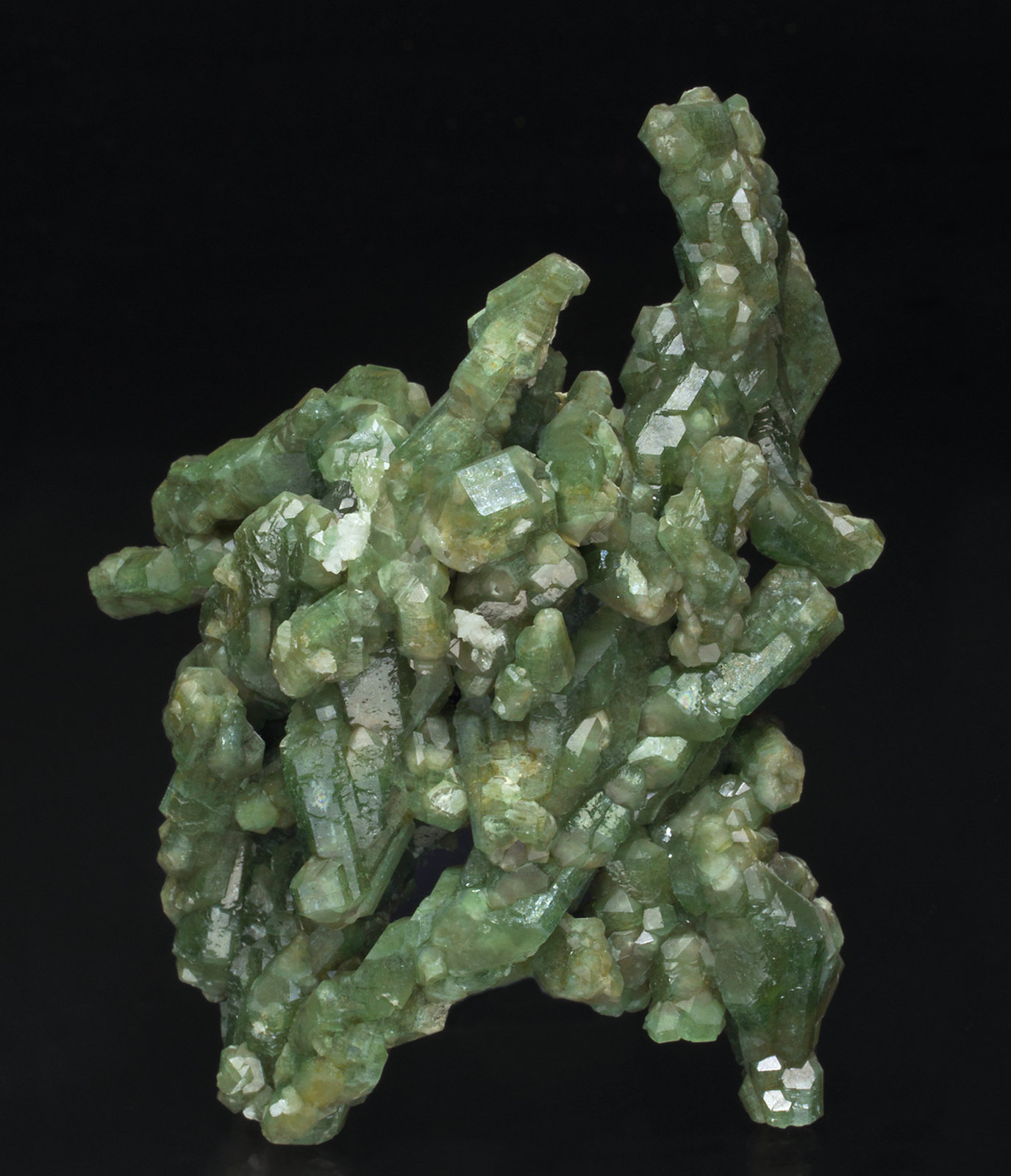 specimens/s_imagesX2/Fluorapatite-TA53X2f.jpg