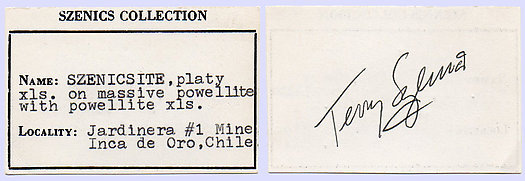 Szenicsite with Powellite