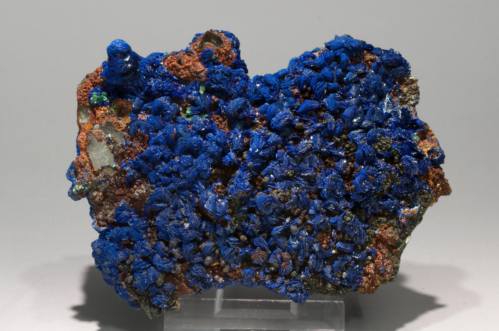 specimens/s_imagesX3/Azurite-EV76X3r.jpg