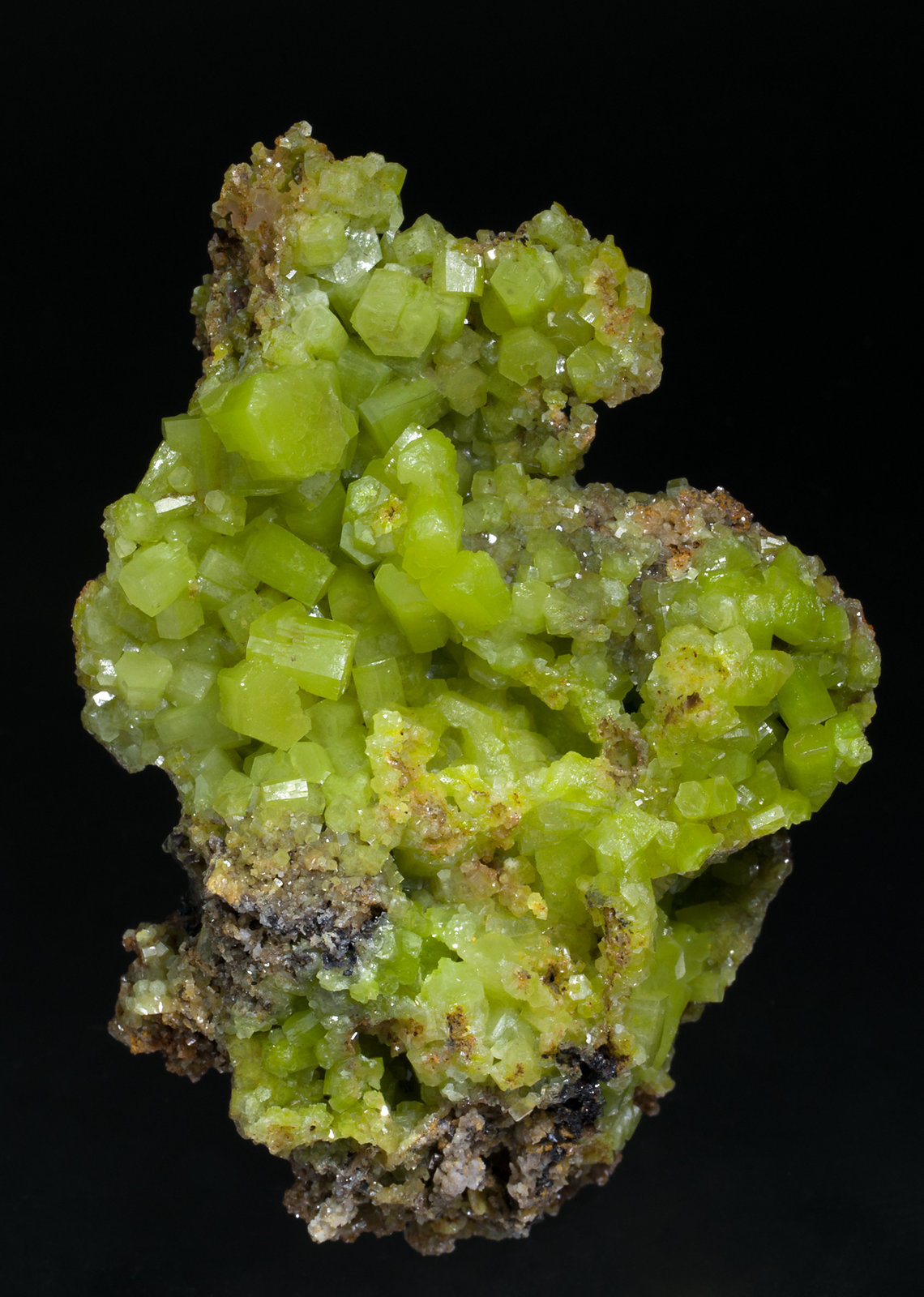 specimens/s_imagesX3/Pyromorphite-N36XX3f.jpg