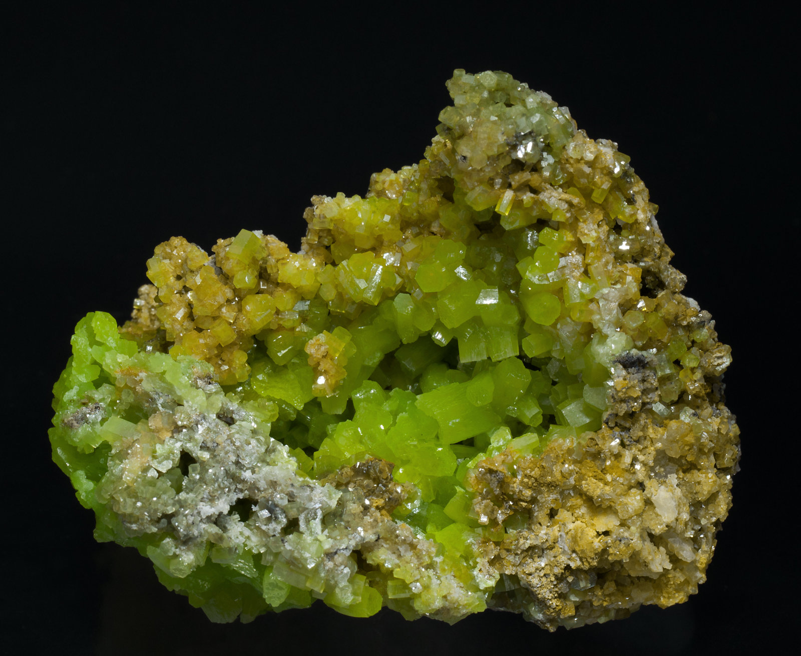 specimens/s_imagesX3/Pyromorphite-N43MX3f.jpg