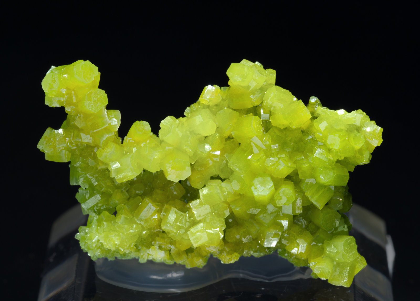 specimens/s_imagesX3/Pyromorphite-N96EX3f.jpg