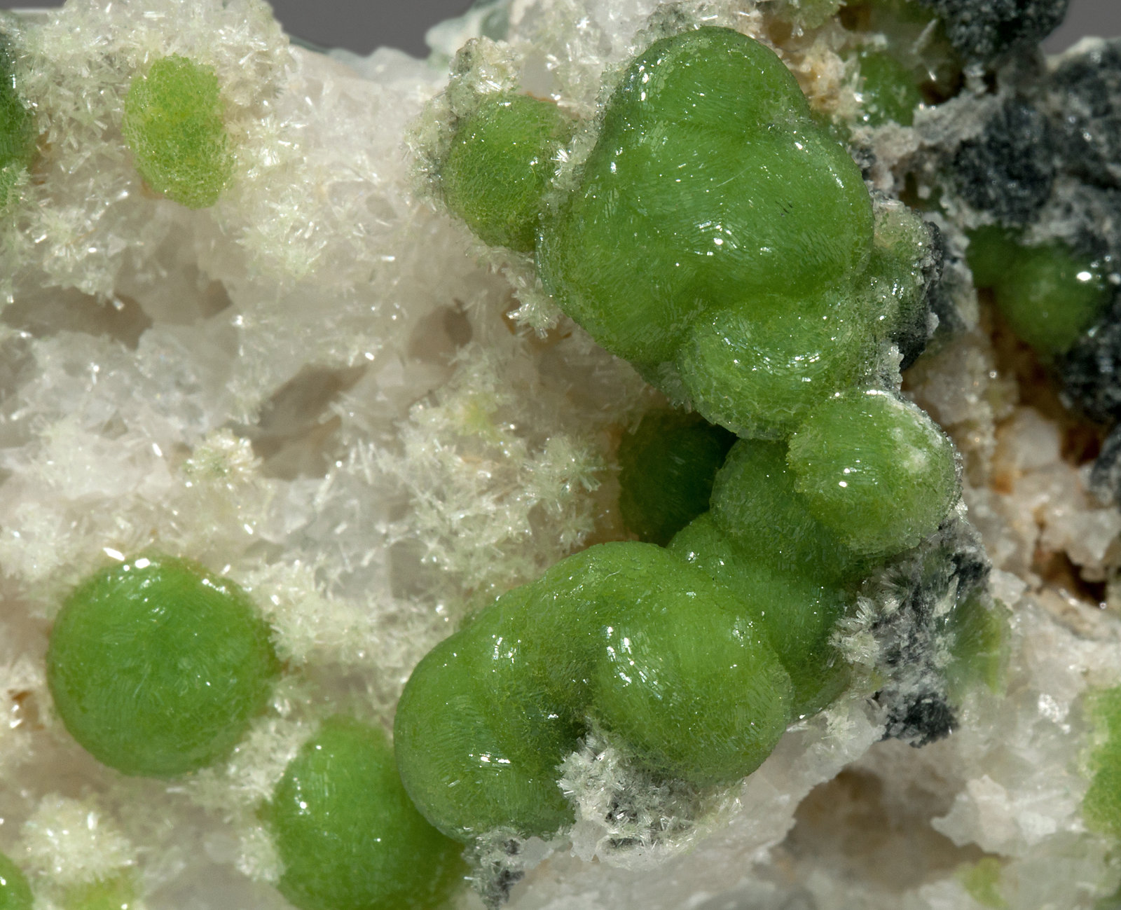 specimens/s_imagesX3/Wavellite-NB28X3d.jpg